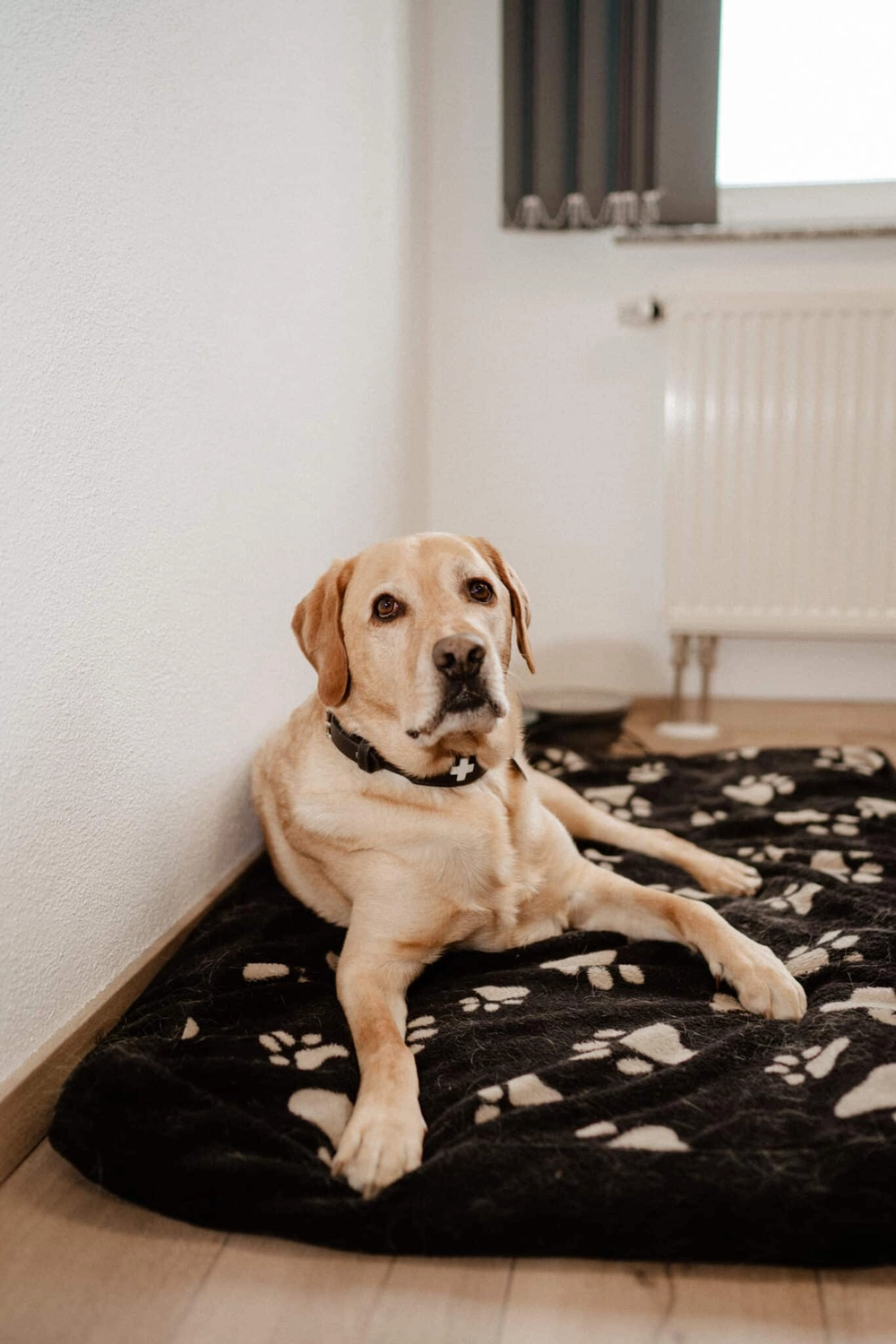 Phoenix Industry Solutions - Blechbearbeitung & Laserschweißen - Sammy